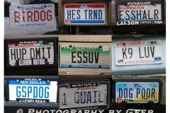 04-plates