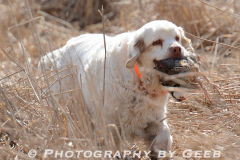 2013 CSCA Hunt Test