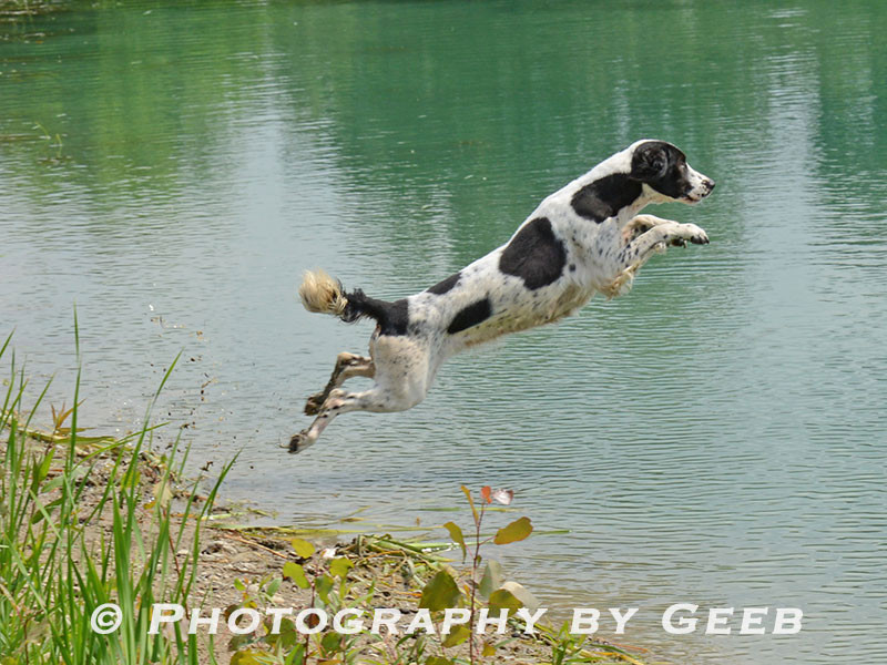 Lottie (Ben Martin)