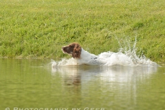 Lucy Landing